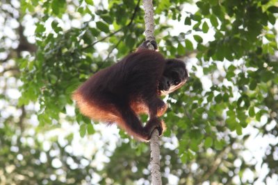 DPP_FSC10297.JPG