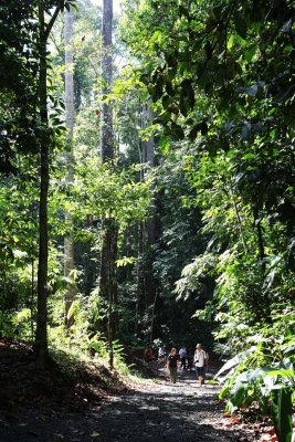 Rainforest Discovery Centre