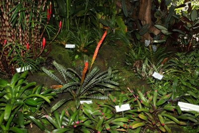 DPP_FSC10307.JPG