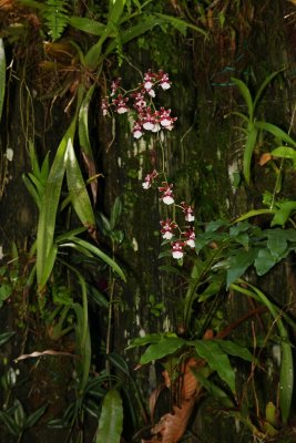 DPP_FSC10309.JPG