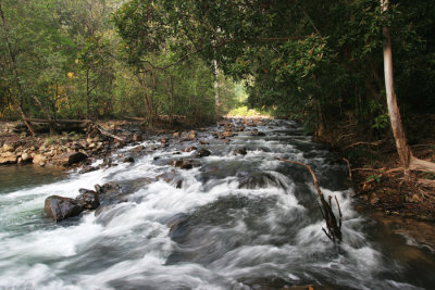 Endau Rompin State Park, Sungai Selai, Johor