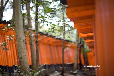 Fushimi Inari Taisha