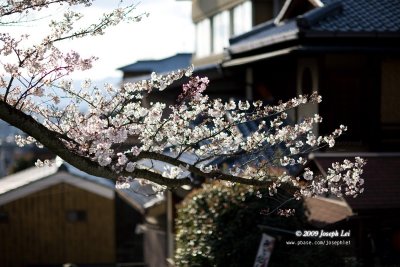 Kiyomizu-dera