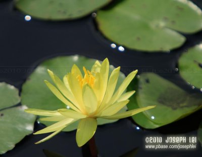 Wetland Park, Hong Kong