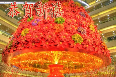 Chinese New Year 2011