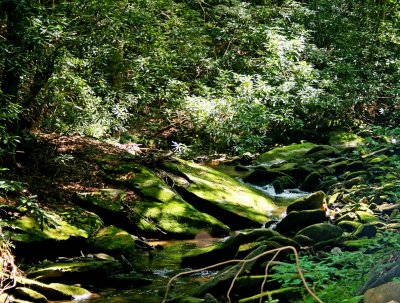 Tumbling Creek