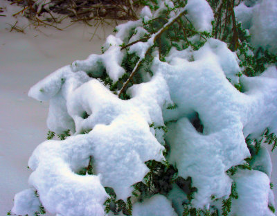 Blue Ridge Georgia Snow 01.10.11