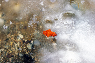 On Frozen Pond