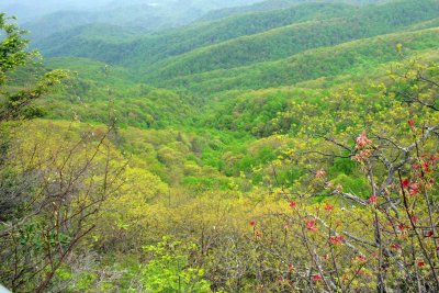 Blowing Rock Cliff