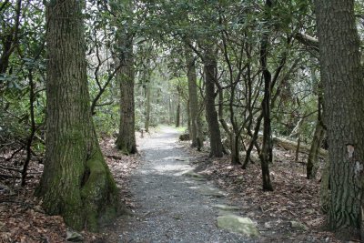 Figure 8 Trail