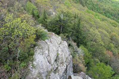 Rock Cliffs