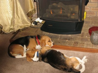 Keeping warm