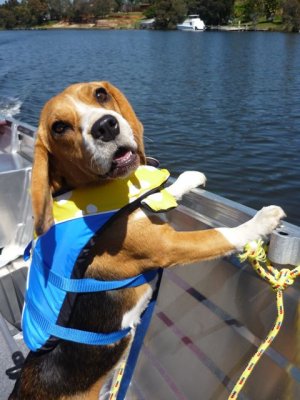 crewing for dad