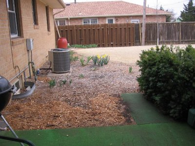 2008_04_07 Landscape\slides\IMG_1468.JPG