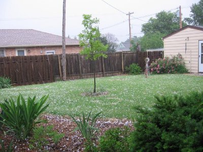 2008_06_11 Landscape Hail\slides\IMG_1693.JPG