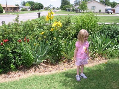 2008_06_19 Gracie, Emma berries\slides\IMG_1700.JPG