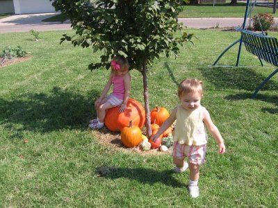 2008_09_27 Gracie, Emma Belleville\slides\IMG_2290.JPG