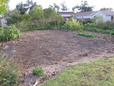 2008_10_18 Landscape, pumpkins\slides\IMG_2330.JPG