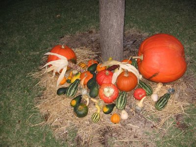 2008_10_18 Landscape, pumpkins\slides\IMG_2332.JPG