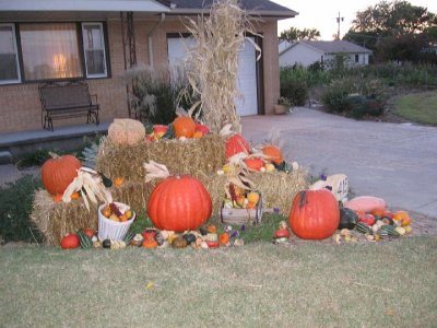 2008_10_18 Landscape, pumpkins\slides\IMG_2333.JPG