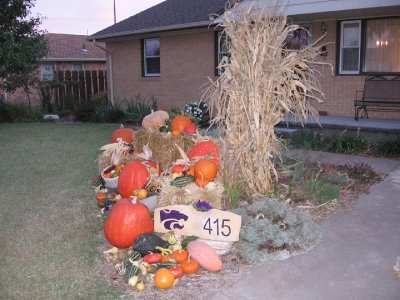2008_10_18 Landscape, pumpkins\slides\IMG_2335.JPG