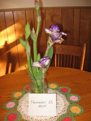 2008_11_22 Fall Birthdays\slides\IMG_2364.JPG