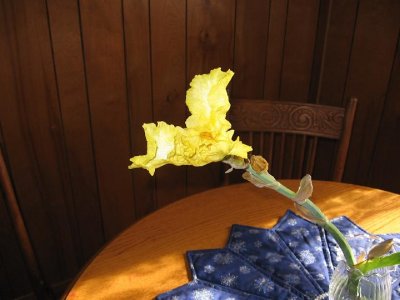 2008_12_05 Irises\slides\IMG_2376.JPG