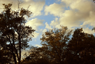 October 24 - Late Afternoon Sky