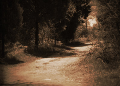 April 20 - The Path