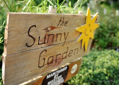 Sunny Garden