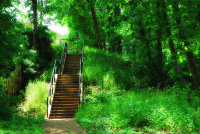 May 17 - Staircase