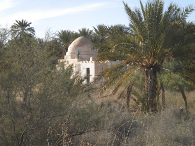 DSCN1326.JPG