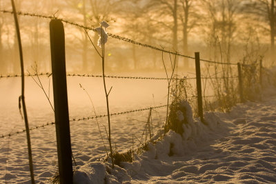 Snow and fog at sunset
