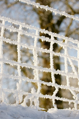 Frozen fence