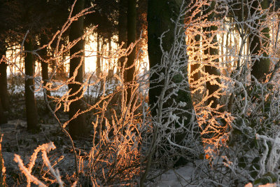 A moment of magic light