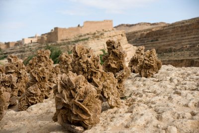 Sand roses