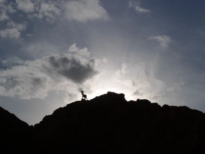 g1/21/838721/3/110668385.QYk7UF2c.jpg