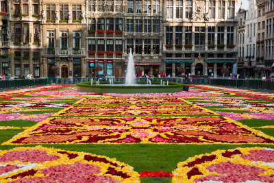 Flower carpet (Begonias)