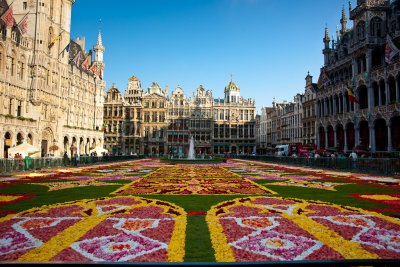 Flower carpet (Begonias)