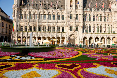 Flower carpet (Begonias)