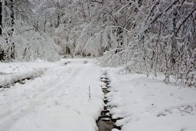 Inzefonds-5.jpg