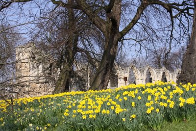 museum gardens