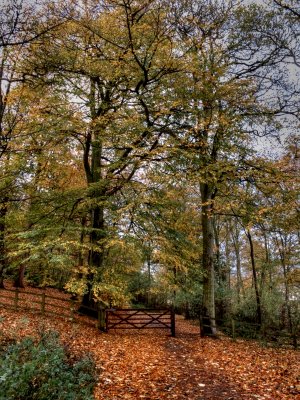 Path And Gate