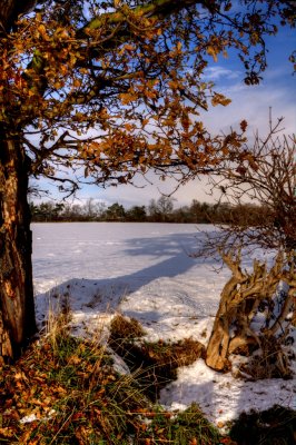 Autumn Meets Winter