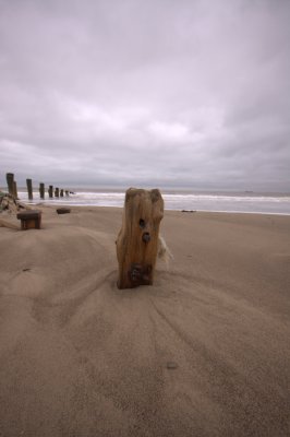 Spurn Point