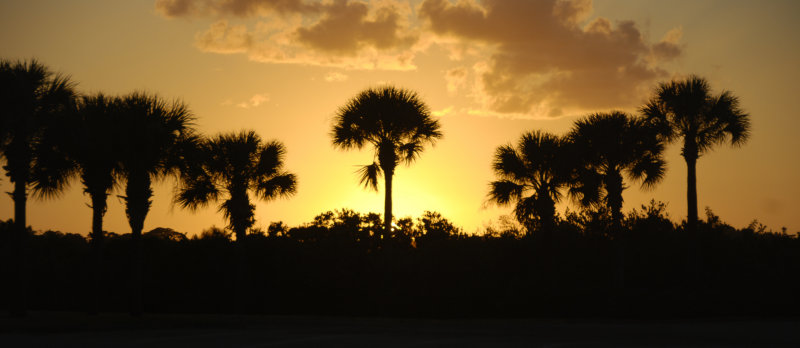 Wilbur by the Sea, FL (and vicinity)