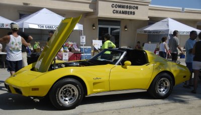 Flagler Corvettes at the Beach - My '76