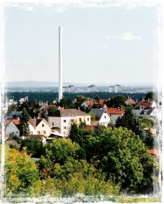 Vienna scene, taken from the Vienna Woods