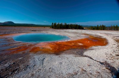 Emerald Pool with brown bacterial mats
