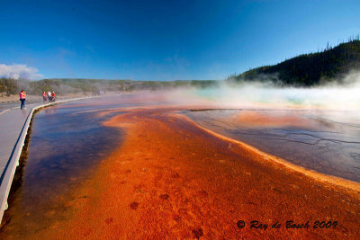 reddish brown bacterial mats at Grand Prismatic pool